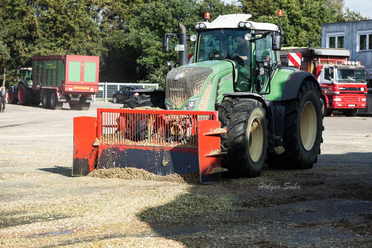 Bild 122 - Maisernte